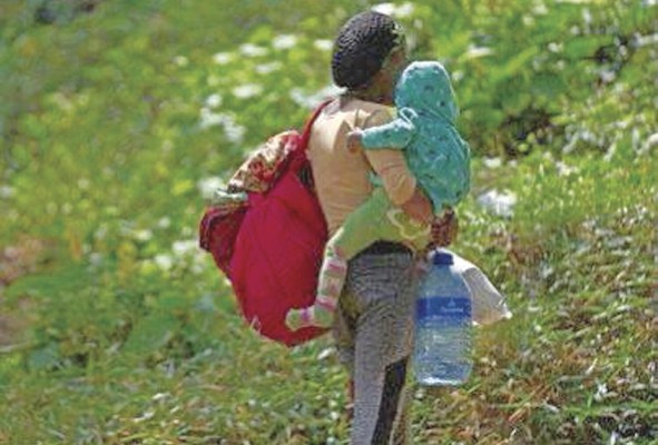 En 2022 cruzaron el Darién 248 mil 284 migrantes En 2022 cruzaron el Darién 248 mil 284 migrantes