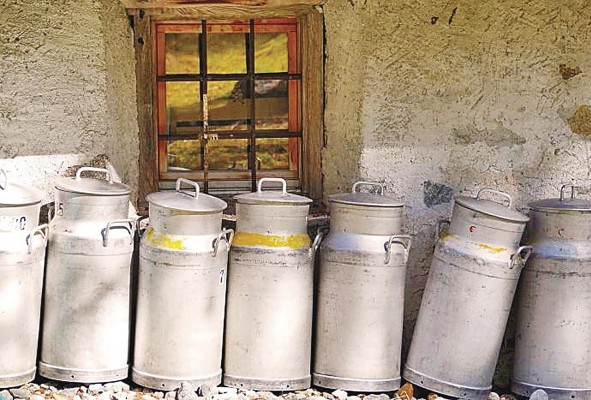 Los productos lácteos están incluidos en la disputa arancelaria. Los productos lácteos están incluidos en la disputa arancelaria.