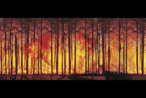 Los incendios forestales son también consecuencias del calentamiento global. Los incendios forestales son también consecuencias del calentamiento global.