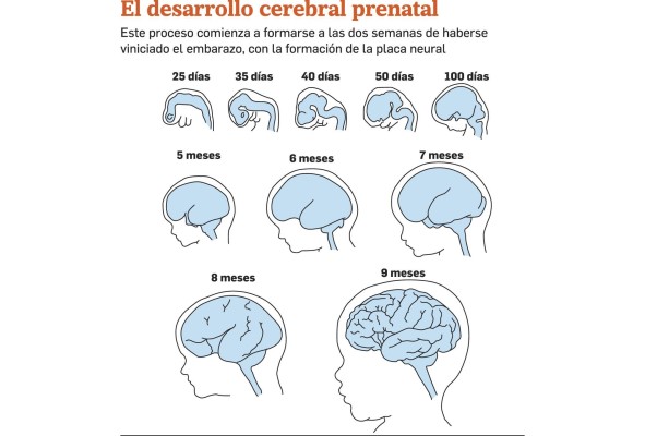 Desarrollo, el resultado de una ecuación que involucra educación y salud Desarrollo, el resultado de una ecuación que involucra educación y salud