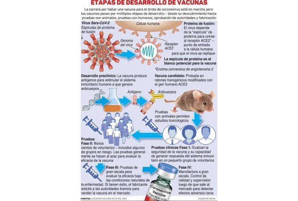 La carrera por la vacuna para el nuevo coronavirus La carrera por la vacuna para el nuevo coronavirus