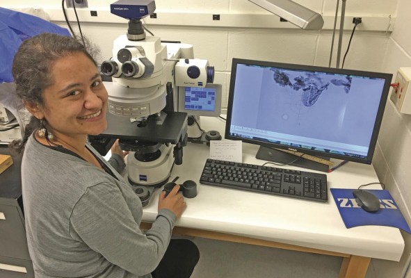 La investigadora Ingrid Romero buscando polen fósil con un microscopio óptico. La investigadora Ingrid Romero buscando polen fósil con un microscopio óptico.
