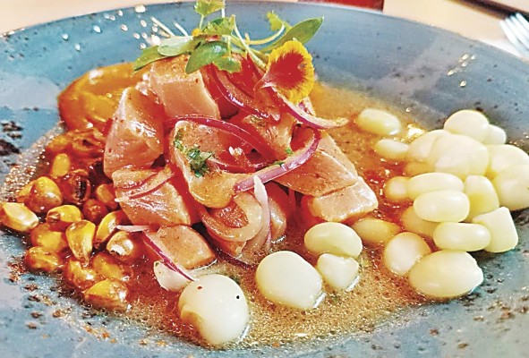 ceviche nikkei de salmón ceviche nikkei de salmón