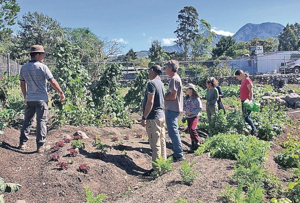 Agricultura orgánica en el distrito de Tierras Altas en la provincia de Chiriquí. Agricultura orgánica en el distrito de Tierras Altas en la provincia de Chiriquí.