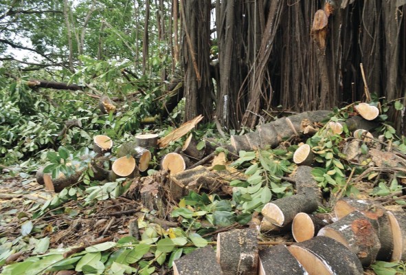 MiAmbiente y el Ministerio de Seguridad se reunieron para fortalecer las áreas de persecución por delitos ambientales. MiAmbiente y el Ministerio de Seguridad se reunieron para fortalecer las áreas de persecución por delitos ambientales.