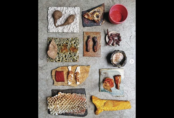 Ecosistemas de Selva Baja, parte de la oferta gastronómica de Central. Ecosistemas de Selva Baja, parte de la oferta gastronómica de Central.