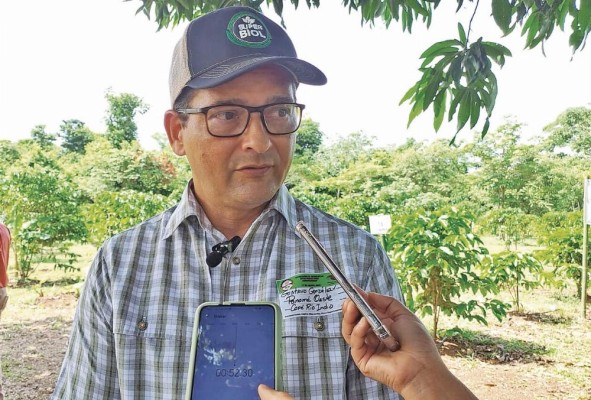 Gustavo González, productor de café de robusta en Capira. Gustavo González, productor de café de robusta en Capira.