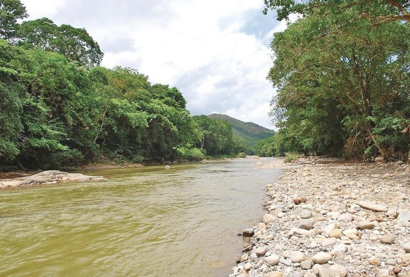 El proyecto de ley tiene como objeto la protección y conservación para que se dé el uso racional en la cuenca del río Santa María. El proyecto de ley tiene como objeto la protección y conservación para que se dé el uso racional en la cuenca del río Santa María.