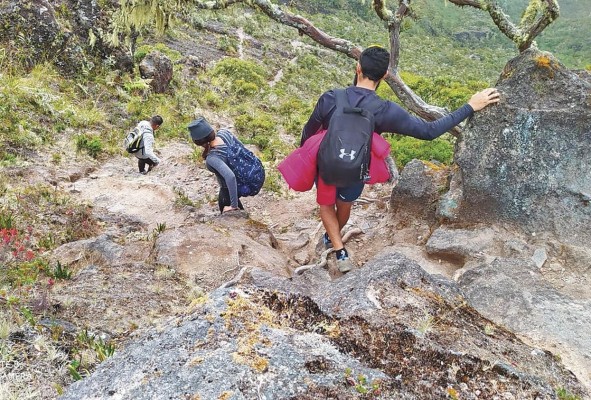 Durante las caminatas los turistas disfrutan de una gran biodiversidad. Durante las caminatas los turistas disfrutan de una gran biodiversidad.