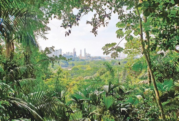 En el primer trimestre empezó el Marco de Cooperación para el Desarrollo Sostenible 2021-2025, firmado entre el Gobierno de Panamá y el Sistema de las Naciones Unidas. En el primer trimestre empezó el Marco de Cooperación para el Desarrollo Sostenible 2021-2025, firmado entre el Gobierno de Panamá y el Sistema de las Naciones Unidas.