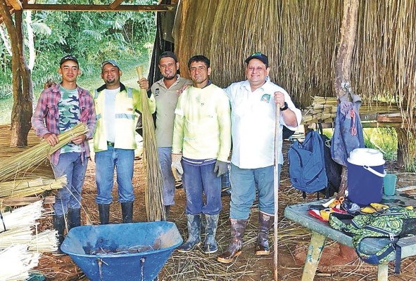 Elaboración de rancho con hojas de Vetiver con participación y empleo local en Reserva Natural Privada Landis, Corregimiento de Breñon, Distrito de Renacimiento, Provincia de Chiriquí, Región Occidental de Panamá . Elaboración de rancho con hojas de Vetiver con participación y empleo local en Reserva Natural Privada Landis, Corregimiento de Breñon, Distrito de Renacimiento, Provincia de Chiriquí, Región Occidental de Panamá .