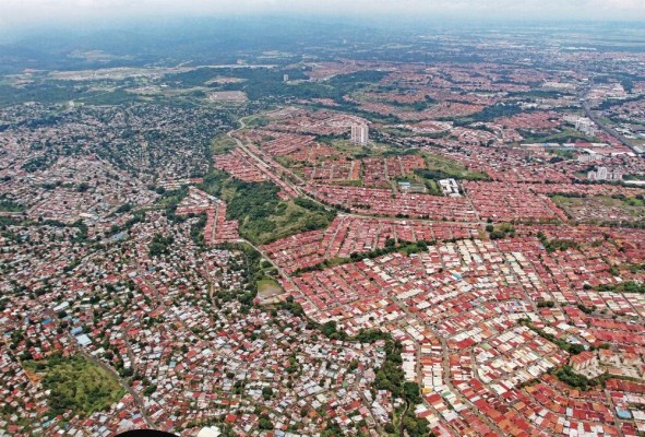 Los patrones de crecimiento a lo interno también presentan variaciones. Los patrones de crecimiento a lo interno también presentan variaciones.