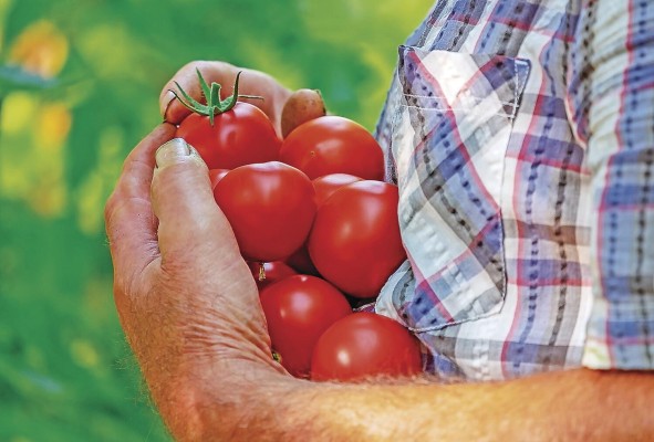 La observación de la Tierra es útil para identificar riesgos y tomar decisiones respecto a la agricultura, seguridad alimentaria, salud pública y gestión hídrica. La observación de la Tierra es útil para identificar riesgos y tomar decisiones respecto a la agricultura, seguridad alimentaria, salud pública y gestión hídrica.
