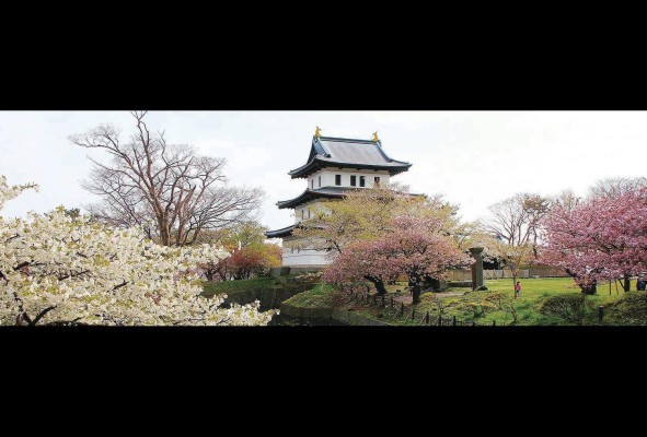 Castillo Matsumae Castillo Matsumae