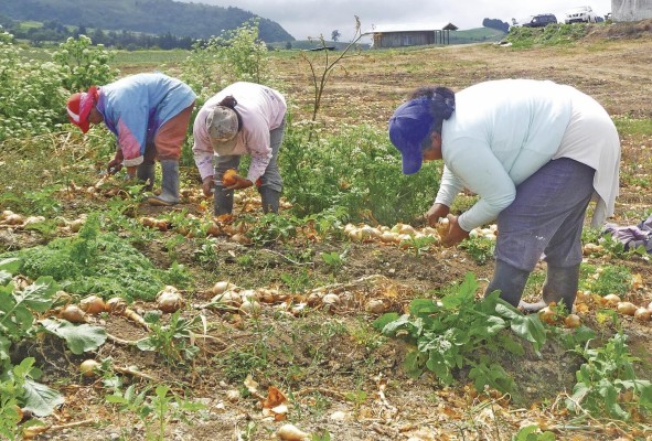 Gobierno paga a proveedores Gobierno paga a proveedores