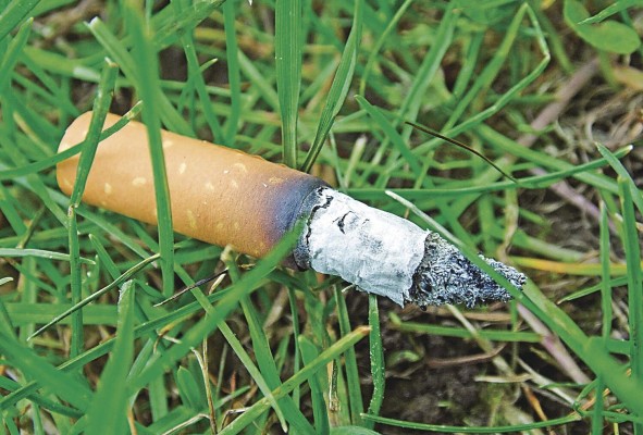 Las colillas de los cigarrillos envenenan el agua, el suelo, las playas y las calles de las ciudades. Las colillas de los cigarrillos envenenan el agua, el suelo, las playas y las calles de las ciudades.