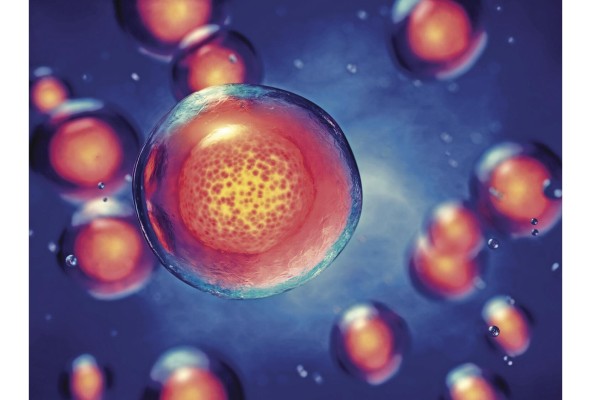 ¿Ponen freno las farmacéuticas a la medicina regenerativa? ¿Ponen freno las farmacéuticas a la medicina regenerativa?