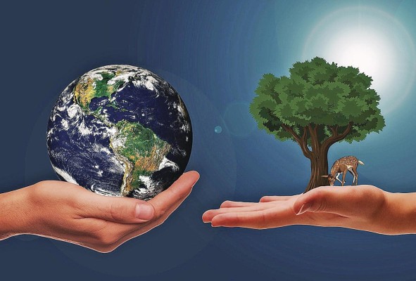 El reciclaje es clave para conseguir un mundo sostenible y libre de contaminación. El reciclaje es clave para conseguir un mundo sostenible y libre de contaminación.