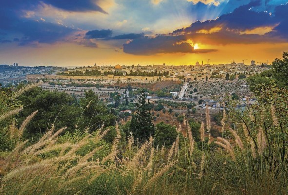 La 'petrificación de Jerusalén' se da a partir del plan maestro de 1955, el cual organizaba la parte israelí de la ciudad en anillos en los cuales el uso de la roca era requerido en diferente grado La 'petrificación de Jerusalén' se da a partir del plan maestro de 1955, el cual organizaba la parte israelí de la ciudad en anillos en los cuales el uso de la roca era requerido en diferente grado