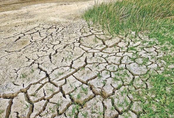 Cambio climático y seguridad ambiental son temas que se abordarán en la conferencia. Cambio climático y seguridad ambiental son temas que se abordarán en la conferencia.