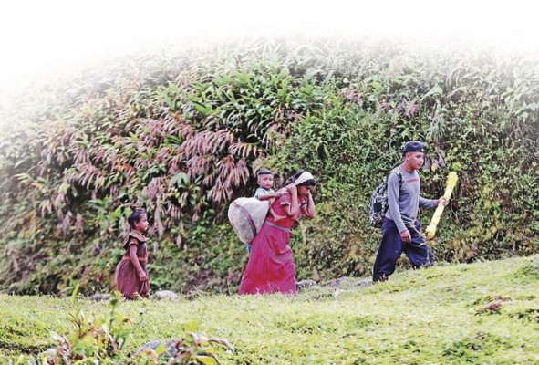 Las poblaciones locales e indígenas de Mesoamérica solo aumentaron su derecho a la tierra en un 0,5% en los últimos cinco años. Las poblaciones locales e indígenas de Mesoamérica solo aumentaron su derecho a la tierra en un 0,5% en los últimos cinco años.