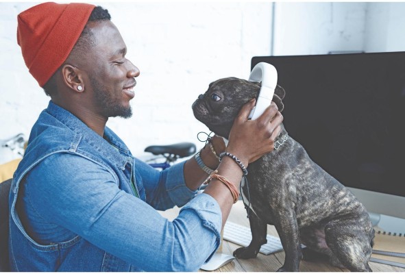 Ocho de cada diez personas afirman que a sus mascotas les gusta la música. Ocho de cada diez personas afirman que a sus mascotas les gusta la música.