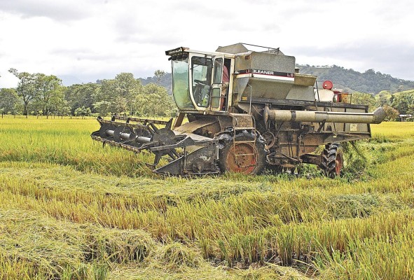 Pagos incluyen $1.5 millones para los arroceros. Pagos incluyen $1.5 millones para los arroceros.