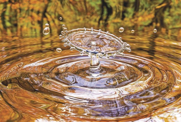 En el año 2002 el Ministerio de Salud realizó la consultoría: Diseño del Sistema de Vigilancia para la Calidad del Agua en Zonas Rurales. En el año 2002 el Ministerio de Salud realizó la consultoría: Diseño del Sistema de Vigilancia para la Calidad del Agua en Zonas Rurales.