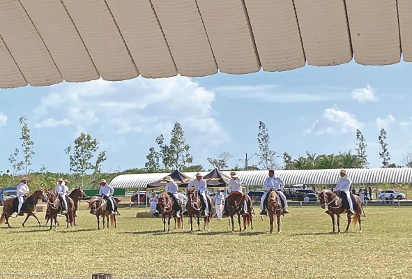 La crianza de caballos peruanos de paso en Panamá está registrada desde el siglo XIX. La crianza de caballos peruanos de paso en Panamá está registrada desde el siglo XIX.