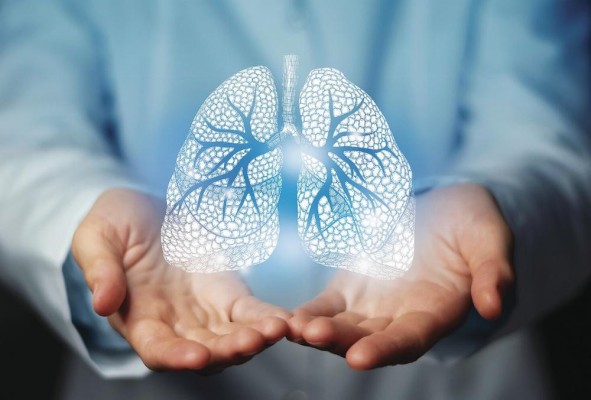 El cáncer de pulmón es catalogado como la primera causa de muerte en el mundo. El cáncer de pulmón es catalogado como la primera causa de muerte en el mundo.