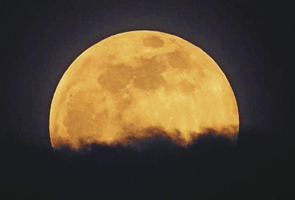 Observar estos fenómenos astronómicos en espacios abiertos y lejos de contaminación lumínica es lo más recomendable. Observar estos fenómenos astronómicos en espacios abiertos y lejos de contaminación lumínica es lo más recomendable.