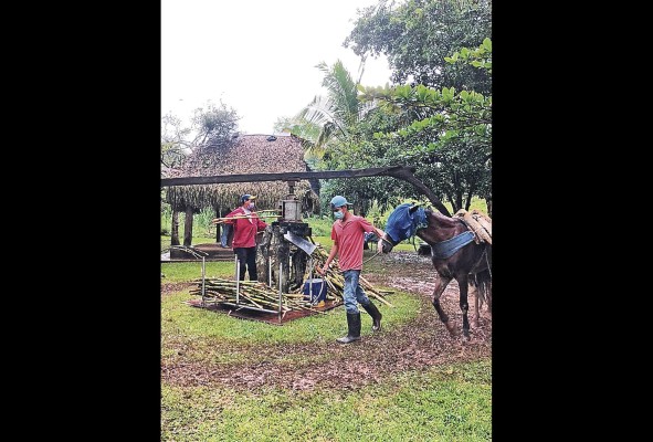 El Valle de Antón fue el sitio para el VI encuentro Iberoamericano de Turismo Rural. El Valle de Antón fue el sitio para el VI encuentro Iberoamericano de Turismo Rural.