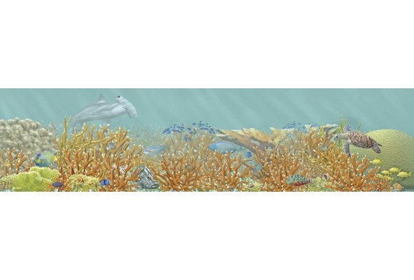 Un arrecife antes del impacto humano hace 7 mil años (arriba), con abundancia de fósiles. Abajo, un arrecife degradado de la bahía de Almirante, en Bocas del Toro. Un arrecife antes del impacto humano hace 7 mil años (arriba), con abundancia de fósiles. Abajo, un arrecife degradado de la bahía de Almirante, en Bocas del Toro.