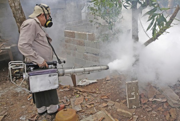 Minsa recomienda eliminar los criaderos de mosquitos. Minsa recomienda eliminar los criaderos de mosquitos.
