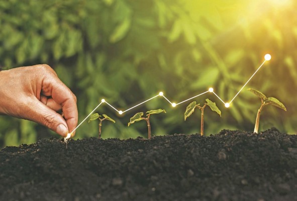 Según el Pnuma, la economía verde es “aquella que da lugar al mejoramiento del bienestar humano e igualdad social, mientras que se reducen significativamente los riesgos medioambientales y a la escasez ecológica”. Según el Pnuma, la economía verde es “aquella que da lugar al mejoramiento del bienestar humano e igualdad social, mientras que se reducen significativamente los riesgos medioambientales y a la escasez ecológica”.