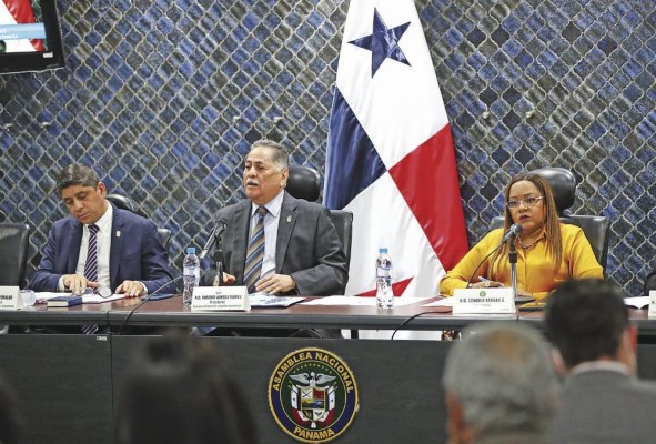 La comisión tuvo varios días de consultas y visitó el sitio de concesión. La comisión tuvo varios días de consultas y visitó el sitio de concesión.