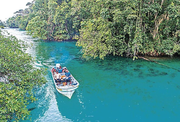 El turismo sostenible es la nueva apuesta de los gobiernos centroamericanos, y Panamá no se queda atrás. El turismo sostenible es la nueva apuesta de los gobiernos centroamericanos, y Panamá no se queda atrás.