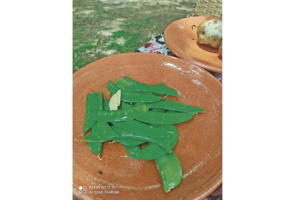 Holantao Holantao