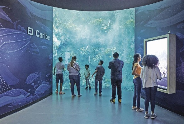 La exhibición 'Océanos divididos'. La exhibición 'Océanos divididos'.