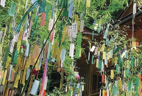 En tanabata, la costumbre consiste en colgar papeles de colores con sus deseos escritos en ramas de bambú que representan árboles. En tanabata, la costumbre consiste en colgar papeles de colores con sus deseos escritos en ramas de bambú que representan árboles.