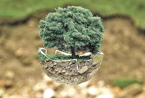 A pesar de un cambio de movilidad, es importante preservar el medio ambiente. A pesar de un cambio de movilidad, es importante preservar el medio ambiente.