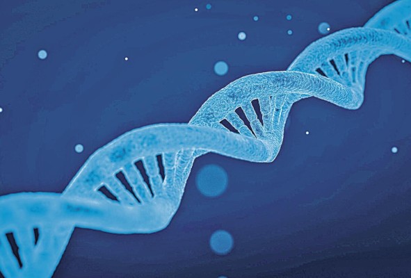 La clonación es el proceso que genera una copia idéntica de un organismo, célula o molécula ya desarrollada La clonación es el proceso que genera una copia idéntica de un organismo, célula o molécula ya desarrollada