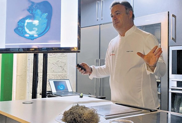 León inició un proyecto de investigación en torno al cultivo de un vegetal marino, la zostera, como elemento clave en la restauració de las marismas. León inició un proyecto de investigación en torno al cultivo de un vegetal marino, la zostera, como elemento clave en la restauració de las marismas.