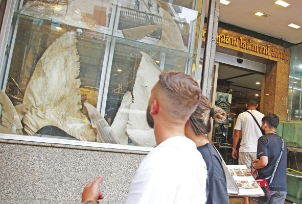 Si bien su consumo es especialmente popular en territorios chinos, la pesca, compra y venta de tiburones aún está legalizada en varios países. Si bien su consumo es especialmente popular en territorios chinos, la pesca, compra y venta de tiburones aún está legalizada en varios países.