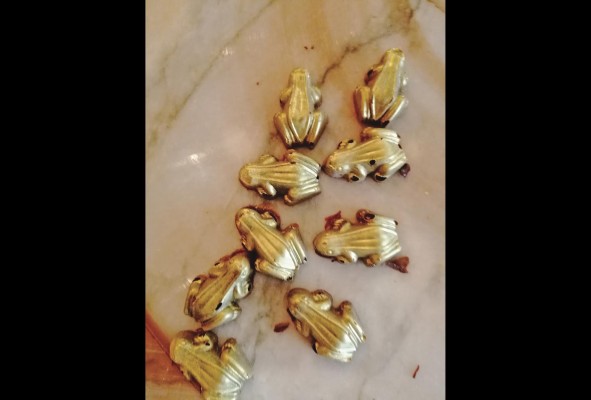 Ranitas doradas, bombones emblemáticos de la marca Oro Moreno Ranitas doradas, bombones emblemáticos de la marca Oro Moreno