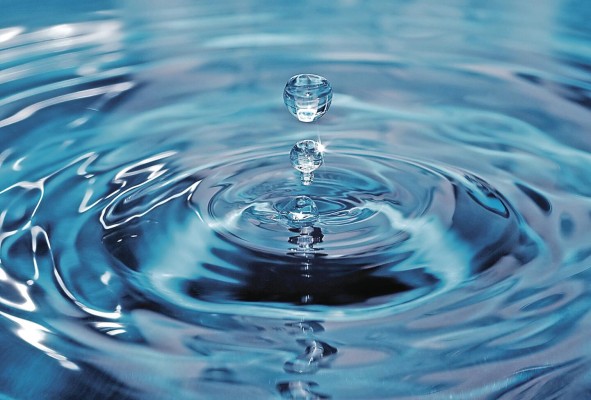 El consumo del agua es vital para la supervivencia del ser humano. El consumo del agua es vital para la supervivencia del ser humano.