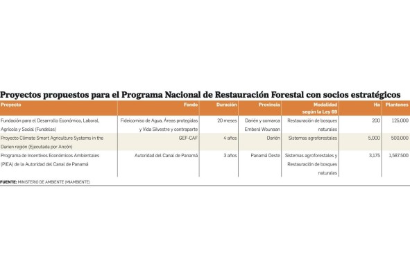 Programa nacional de restauración forestal inicia su fase con siete proyectos aprobados Programa nacional de restauración forestal inicia su fase con siete proyectos aprobados