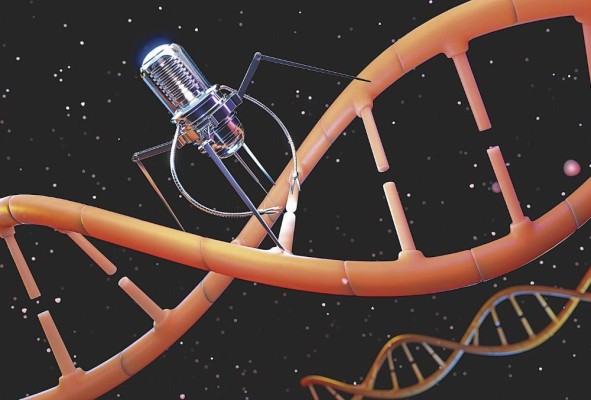 La nanomedicina es una disciplina que aplica los avances de la nanotecnología al campo de la salud. La nanomedicina es una disciplina que aplica los avances de la nanotecnología al campo de la salud.