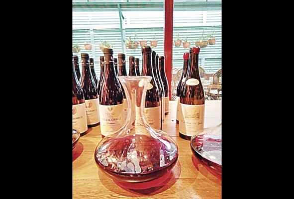 Vinos de la bodega Frontonio Vinos de la bodega Frontonio