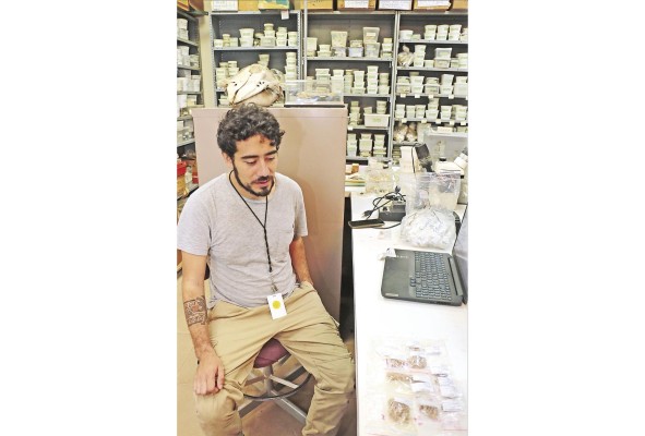 Sergio Castro, en el laboratorio de colección de referencia de fauna Sergio Castro, en el laboratorio de colección de referencia de fauna